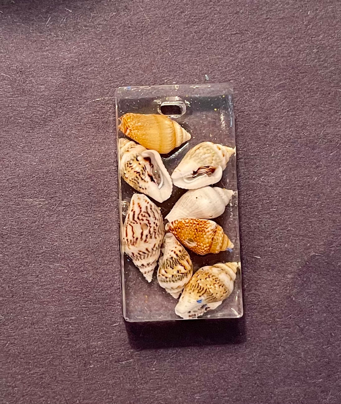 The Seashell Charm
