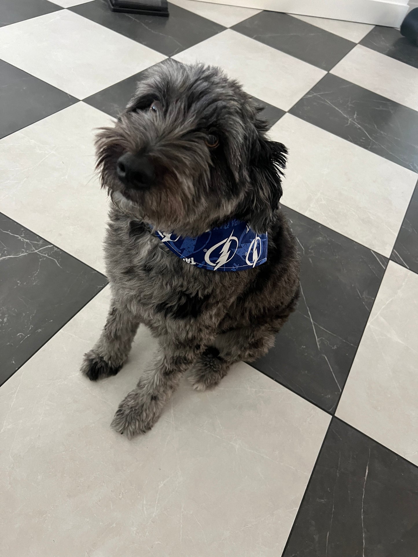 Tampa Bay Lightening Dog Bandana