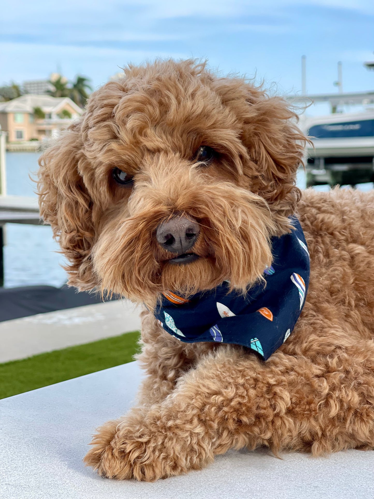 Surfs Up Dog Bandana