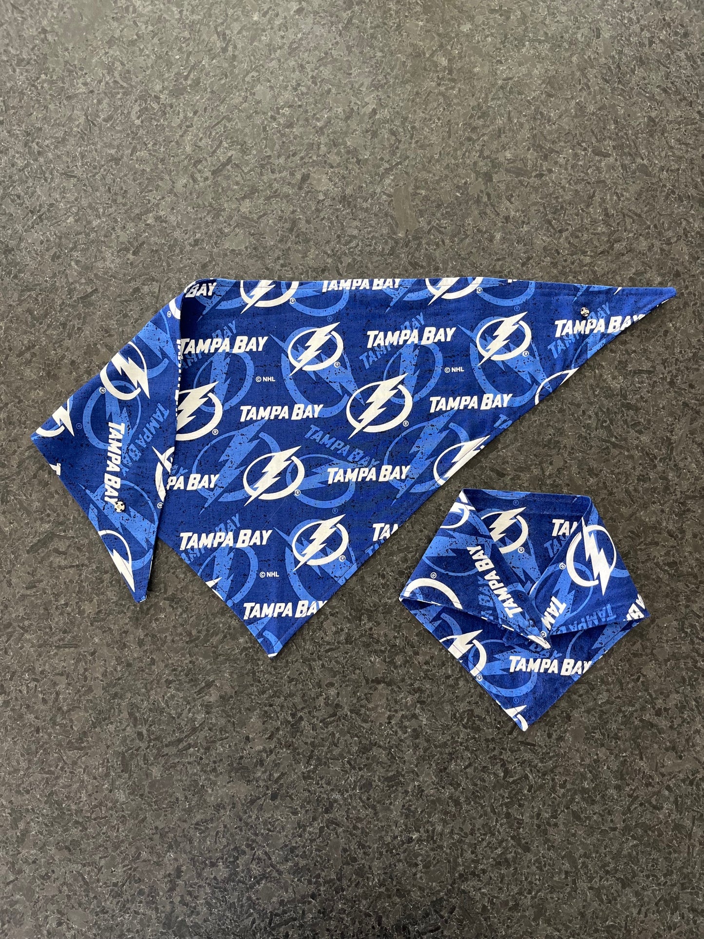 Tampa Bay Lightening Dog Bandana